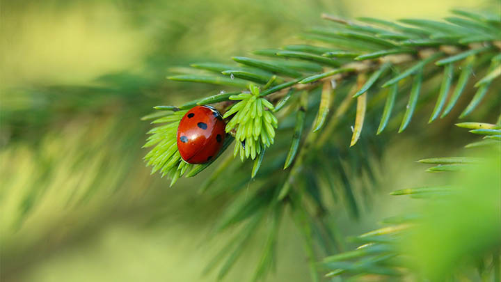 ToDesk下载方法:快速掌握ToDesk下载的简单技巧 二