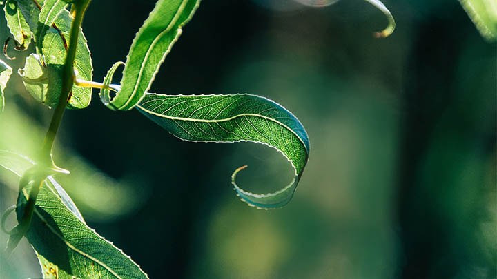 ToDesk下载提速难？多线程+专属网络加速实现立即加速 二
