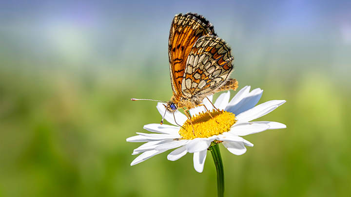 ToDesk下载怎么做？详细操作指南及技巧揭秘 二