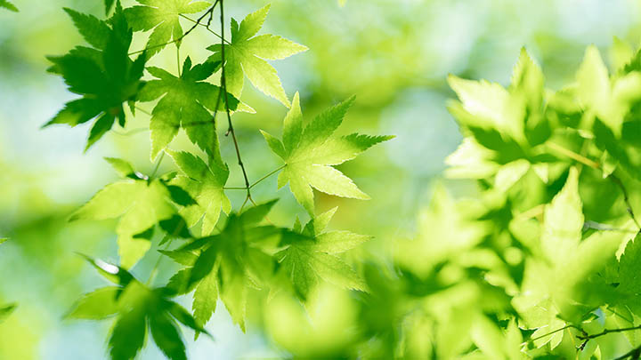 ToDesk下载速度如何提升？超全优化技巧解析 二