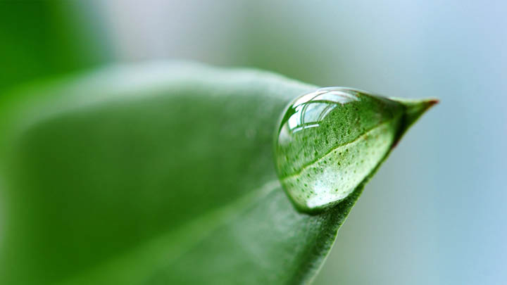 ToDesk怎么下载?详细下载教程与安装指南 二