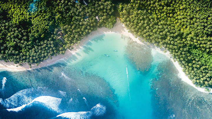 解决todesk下载秒退问题详细教程解析 二