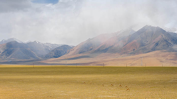 ToDesk下载安全吗？全面解析使用体验与信任保障 二