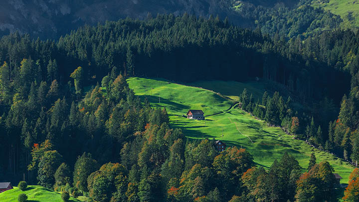 官网ToDesk下载：快速获取安装包3步 二