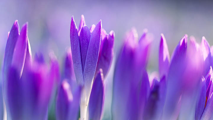 ToDesk下载:官方渠道是否安全?避免风险技巧揭秘 二