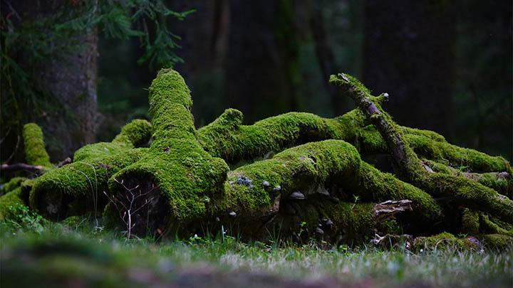 ToDesk下载付费版:快速获取3步教程 二