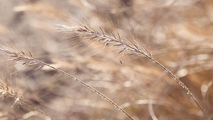 ToDesk官网下载全指引:快速找到官方最新版入口解析 二