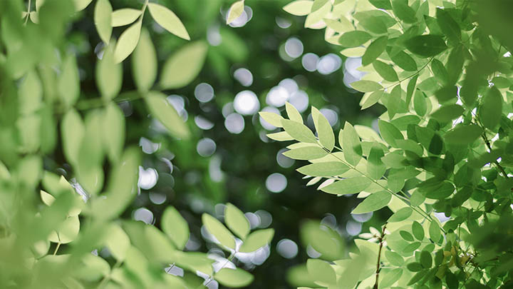 ToDesk下载怎么正版？官方地址+完整指南 二