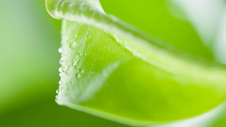 ToDesk下载安装+详细图文教程2025年适用 二