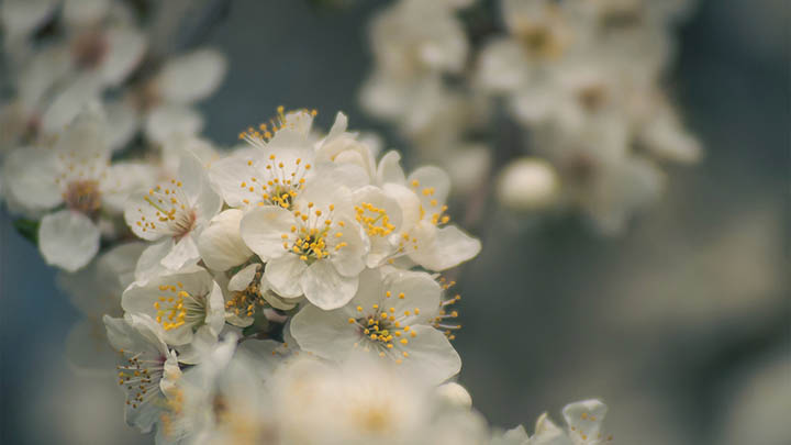 ToDesk下载精简版？2025年最新指南从官网到安装详解 二