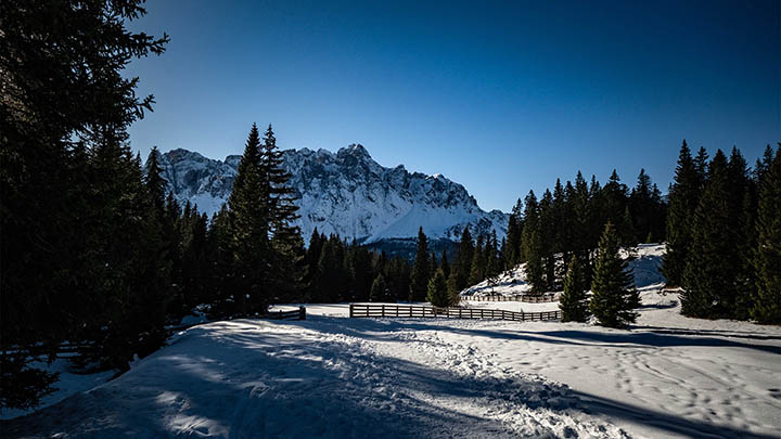 ToDesk下载远程软件免费？专业版与免费版功能对比及快速安装教程 二