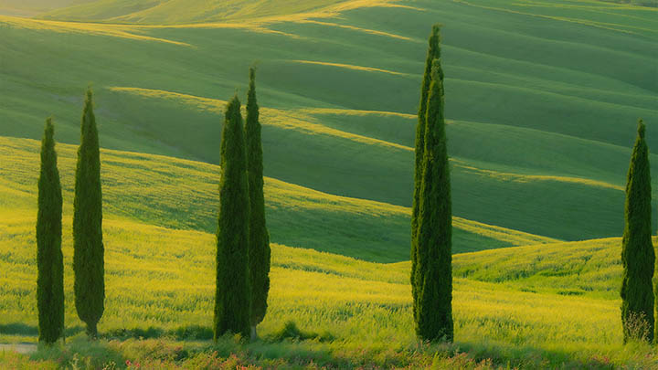 ToDesk下载电脑版怎么用？全新安装教程+快速连接指南 二