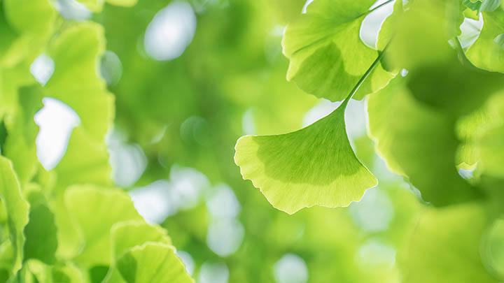 ToDesk下载：连不上网？3个有效解决方案 二