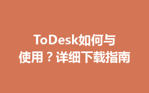 ToDesk如何与使用？详细下载指南-ToDesk官方下载|远程桌面控制