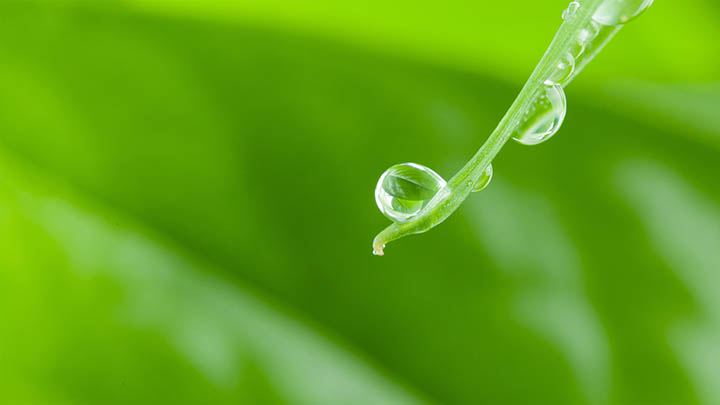 ToDesk下载客户端2025：全新升级教程及安装建议 二