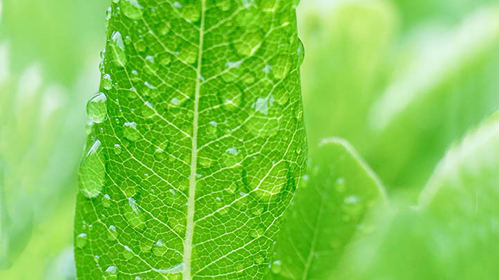 ToDesk下载电脑安装全流程解析 二